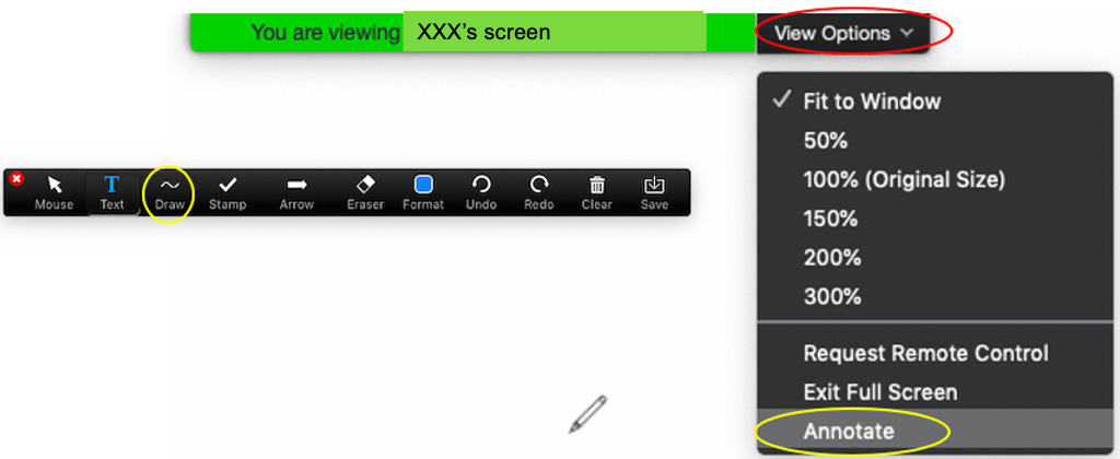 best screen annotation zoom